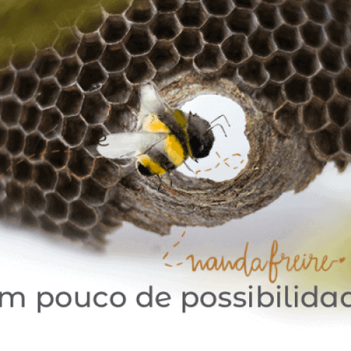 casinha_de_favo-nanda-freire possibilidades-nanda-freire